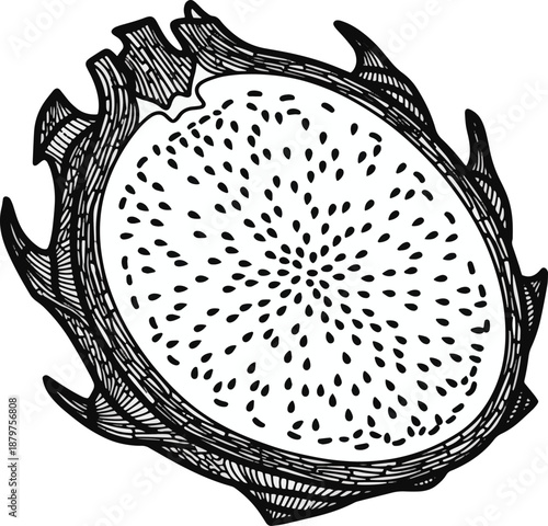 Unique vector silhouette of a sliced dragon fruit pitaya showing the internal texture and seeds