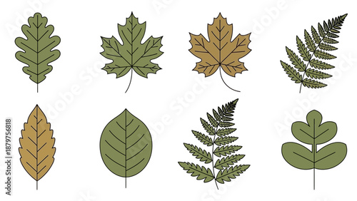 set of leaves