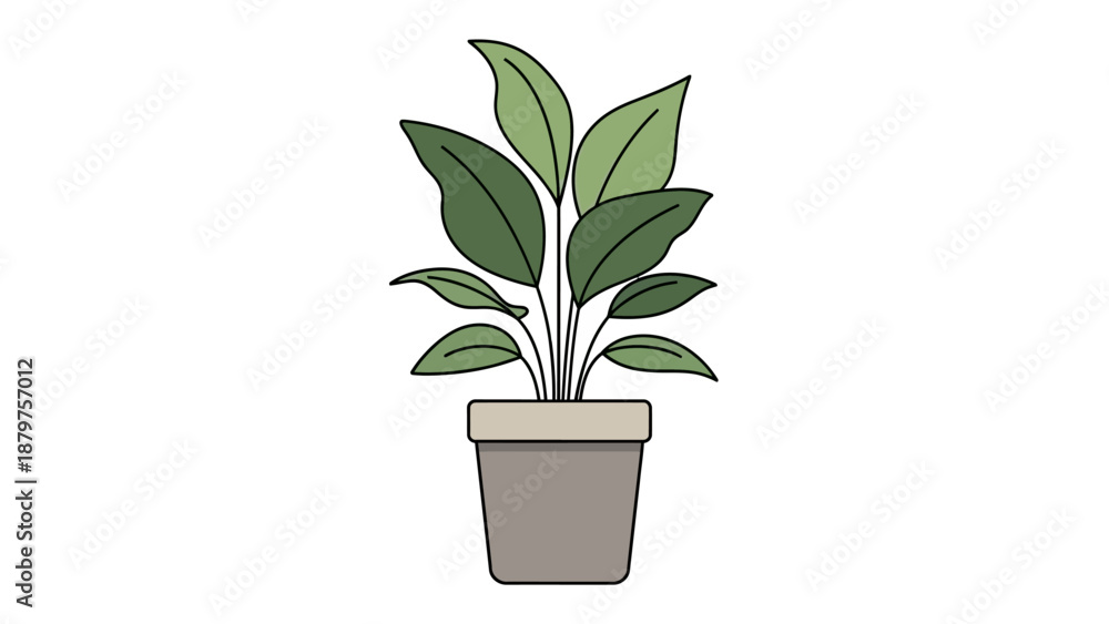 Fototapeta premium plant in pot