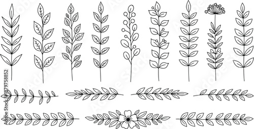 Collection of delicate hand drawn botanical line art elements featuring various stylized plant sprigs leaves berries and floral divider borders perfect for design