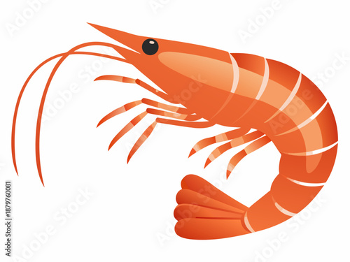 a cartoon orange shrimp with long antennae