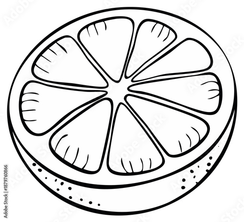 Black and white citrus fruit cross section illustration