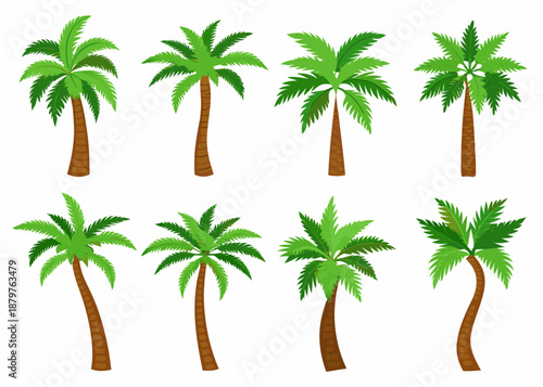 Collection of diverse palm trees with varying heights and curved trunks