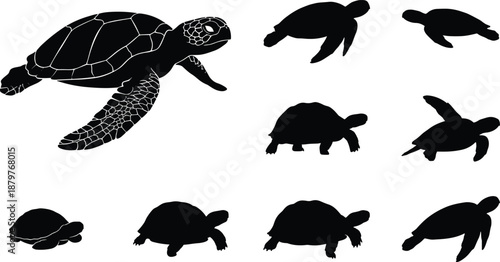 Collection of sea turtle silhouettes in swimming and crawling poses, black marine reptile vector illustrations isolated on white background for ocean, wildlife and nature design use