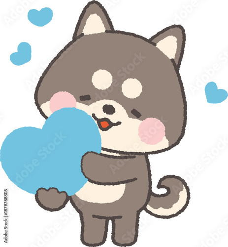 ハートを持つ黒い柴犬