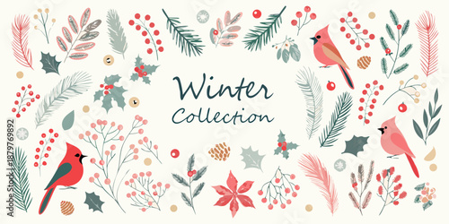 Festive winter collection with cardinals berries and botanical elements illustrated beautifully