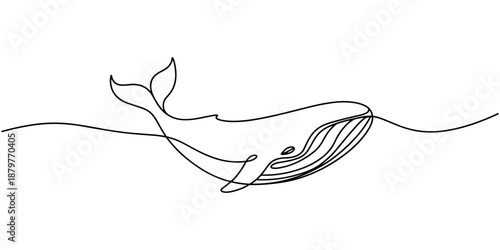 Whale tail drawing by one continuous line, blue whale drawing by one continuous line, Print Continuous one line drawing of orca whale. One line drawing illustration of whale killer fish.