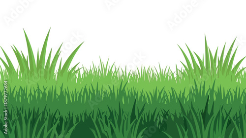 Illustration of a lush green grass border on a white background with varying shades of green and different blade lengths.