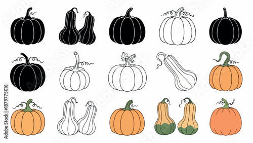 Collection of various pumpkin and squash illustrations in black, white, and orange on a white background.