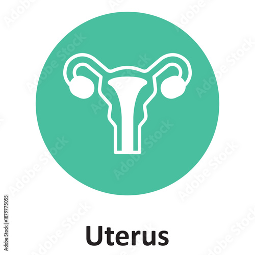 Uterus  Vector Icon which can easily modify or edit