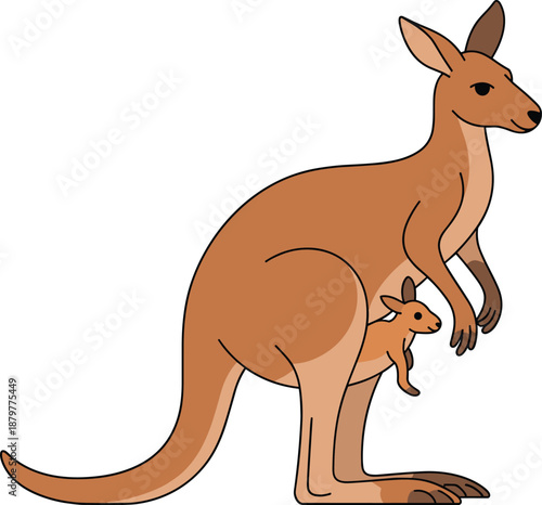 Cute kangaroo illustration with baby joey, Australian wildlife vector art for kids, animal education, cartoon design, nature, family friendly graphic