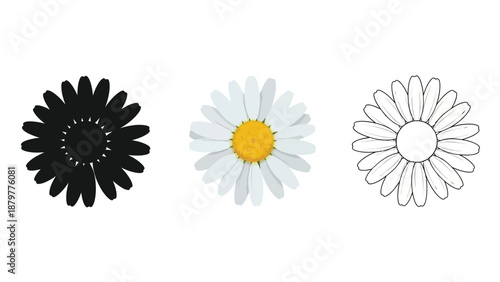 Collection of three distinct daisy flower graphic representations showing silhouette color and outline styles