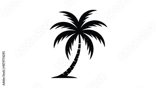 Stylized black silhouette of a tropical palm tree against a pristine white background Vector