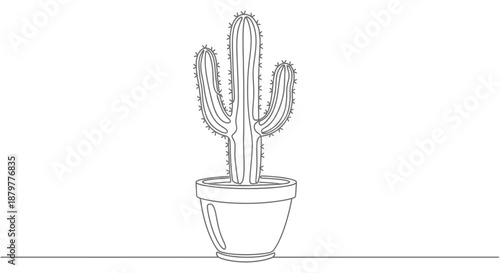 cactus in a pot