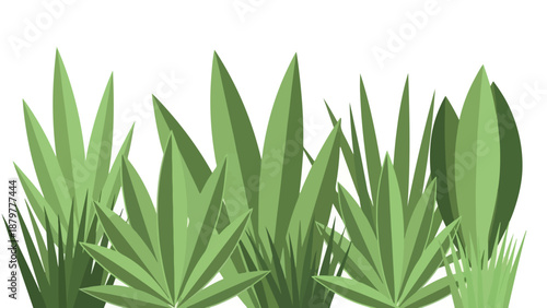 Illustration of various green plants with different leaf shapes and sizes against a white background.