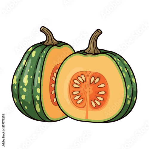 Illustration of a whole and halved green pumpkin with orange flesh and seeds on a white background.