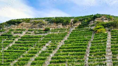 Hessigheimer Felsengärten