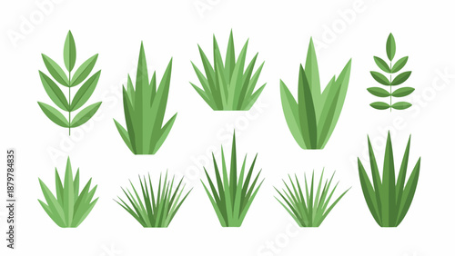 Flat lay of various green plants and leaves on a white background with a natural and minimalist composition.