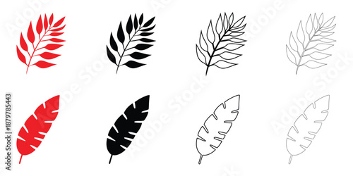 tropical leaf icon vector set, tropical leaves symbol vector, silhouette and line art