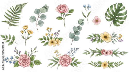 Botanical Painting Vector Set for Section Illustration Plant Art