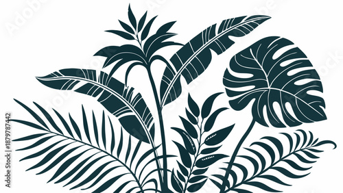 Exotic Tropical Jungle Leaves Silhouette Vector Illustration Monstera Palm Foliage Design for Summer Vacation Background