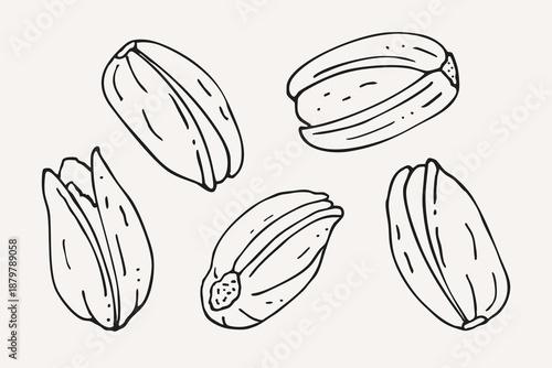 Hand drawn pistachio nuts set in different positions black and white outline sketch. isolated on white background healthy organic snack, nutty, ingredient for packaging, label, menu, logo design.