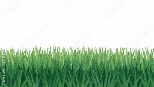 Close-up of lush green grass against a plain white background.