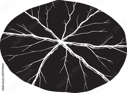 White vascular network on black background medical illustration