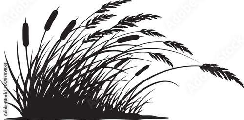 Black Silhouette of Cattails and Grass on White Background