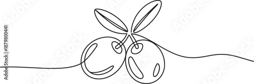 Cherry fruit continuous one line drawing, minimal cherries outline vector illustration on white
