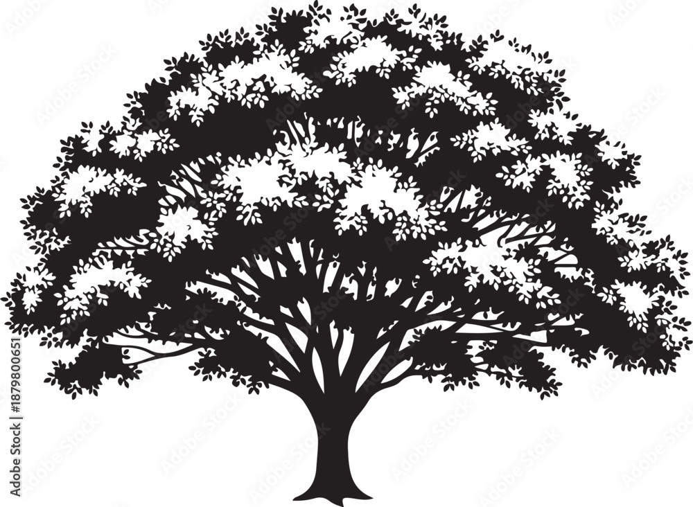 Fototapeta premium Black Silhouette of a Tree with Leafy Branches Isolated