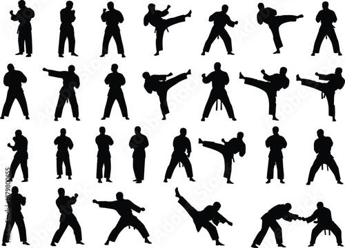 Collection of martial arts silhouettes in diverse stances, punches, kicks, and defensive positions arranged in grid for combat sports illustration