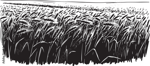 Black and white illustration of a field of tall grass