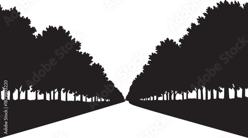 Silhouette of trees lining a road in black and white