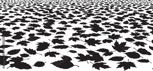 Black leaf silhouettes on white background in autumn season
