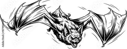 Aggressive Flying Bat in Motion - Hand-Drawn Black and White Vector Illustration for Halloween and Gothic Designs