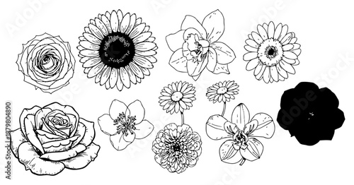 Assorted Hand Drawn Botanical Flowers Line Art Collection