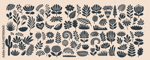 Boho botanical illustration for modern design