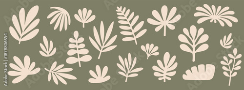 Minimal boho flower and leaf illustration collection