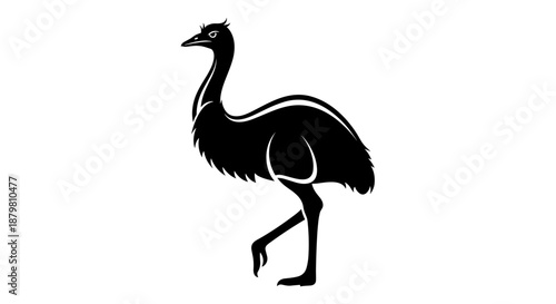 Emu Silhouette Striking Black and White Bird Illustration.