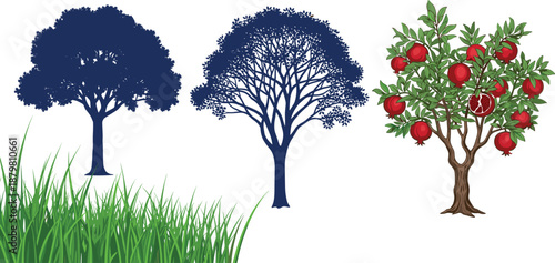 Tree Silhouette and Pomegranate Fruit Tree Illustration with Green Grass Nature Landscape Elements Isolated on White Background Vector