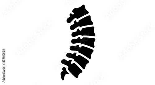 Human Spine Anatomy Vertebral Column Silhouette Illustration.