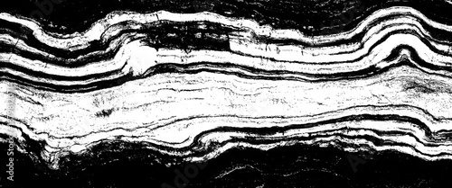 Vector black and white grunge wood texture background
