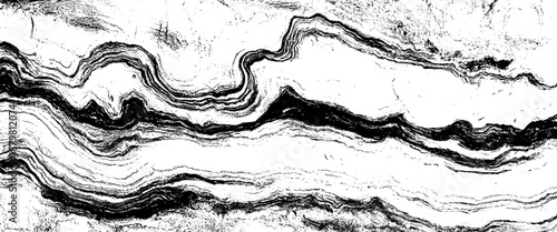 Vector black and white grunge wood texture background