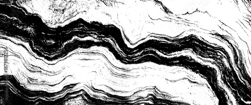 Vector black and white grunge wood texture background