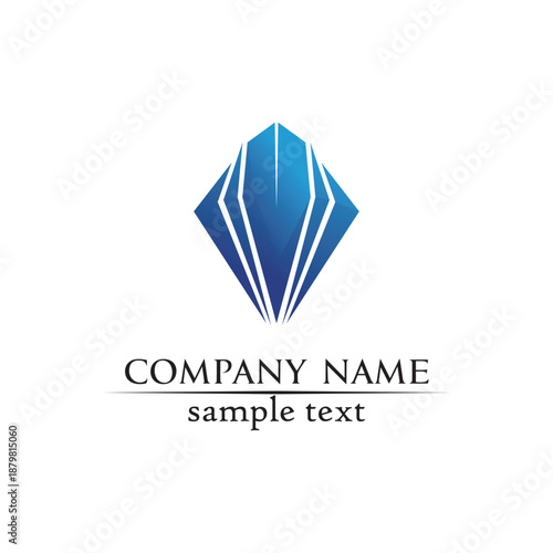 Business Finance professional logo template vector icon