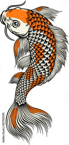 A koi carp coy fish. An original illustration in a vintage Japanese painting art style.