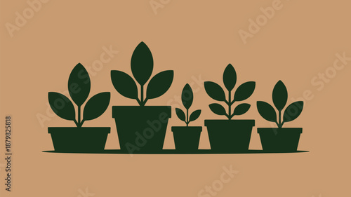 Collection of potted plants