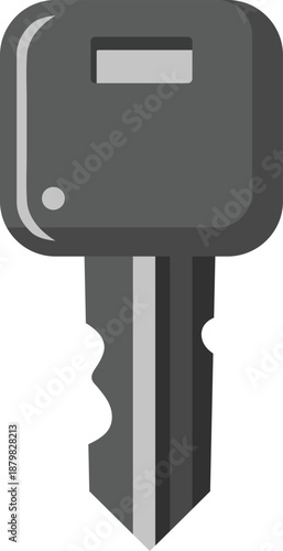 Car key with remote head and metal blade