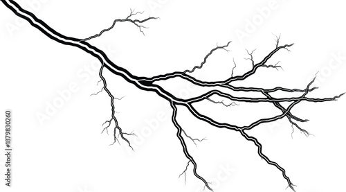 Bare tree branch silhouette with twisted limbs and organic lines, minimalist nature element for design use in clean black vector illustration style